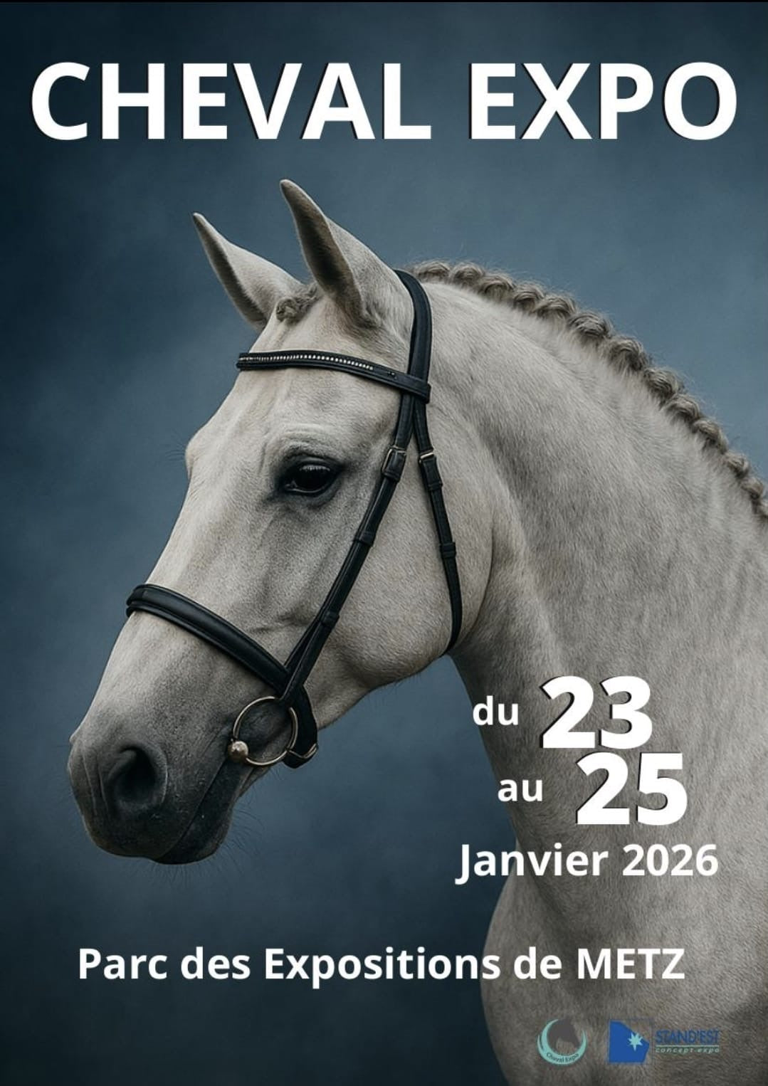 Cheval Expo Metz