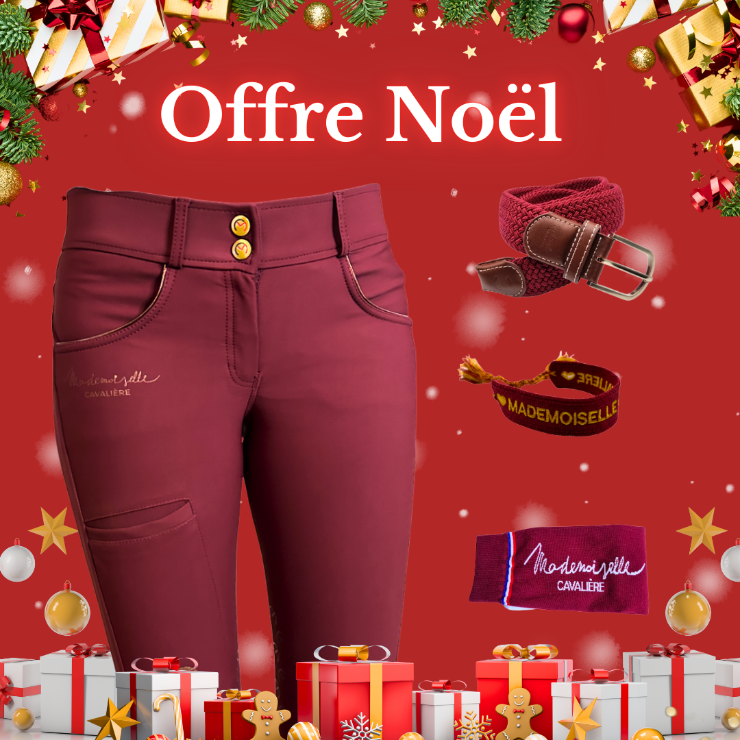 Pack Pantalon "So Chic" Wine & Chaussettes & Ceinture & Bracelet